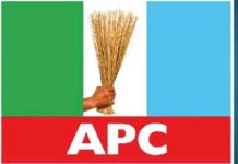 APC Logo