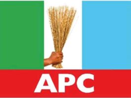 APC Logo