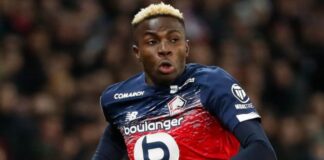 Osimhen in talks for Napoli move Osimhen