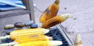 Income Generating Activities With Little Capital Income Generating Activity