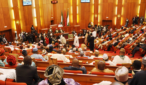 Senate tackles SEC over expenses