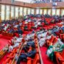 The Nigerian Senate