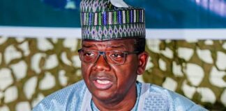 Democracy is working in Nigeria, Matawalle warns coup mongers Bello Matawalle