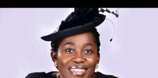 5 Observations on Domestic Violence Domestic violence