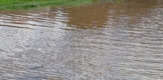 Flood kills 21 in Abia communities