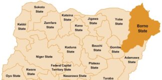 Borno Govt shuts IDP camps, 200,000 persons displaced Borno State