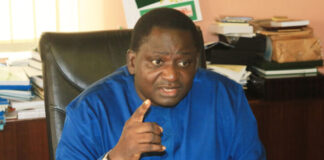 Presidency reveals reason behind increased ‘Japa’ migration Femi-Adesina-Presidency