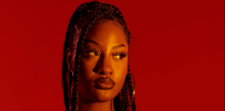 Tems, Wizkid emerge victorious at 2022 American Music Awards