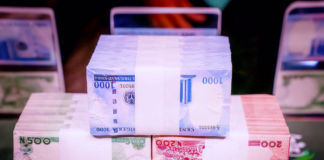 CBN unveils new Naira notes