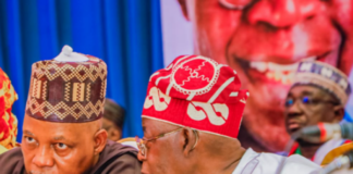 Tinubu: Shettima is the best running mate I could find