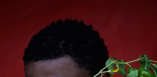 Here is the career Afrobeats superstar, Wizkid would’ve pursued if he wasn’t a music artiste