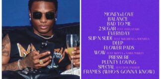 More Love, Less Ego: Wizkid releases 5th studio album More Love, Less Ego
