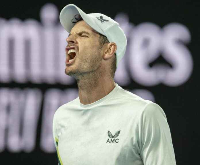 Andy Murray beats Matteo Berrettini in Australian Open first round Andy Murray beats Matteo Berrettini in Australian Open first round