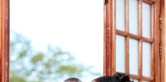 I didn’t marry him because of money, Angolan socialite slams critics