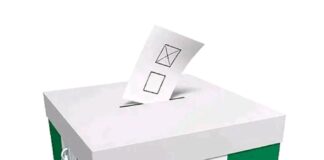 5 Types of voters in Nigeria’s election Voters