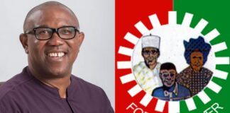 How can Peter Obi’s Labour Party come back stronger?