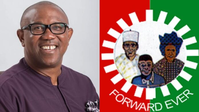 How can Peter Obi’s Labour Party come back stronger?