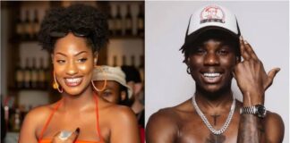 Tems and Rema to perform at Lollapalooza festival