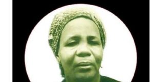 Dada Sare Abdullahi: A brief biography