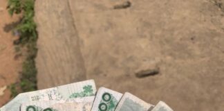 Cash, No Cash : Power tussle in Nigeria’s Leadership. Naira Redesign