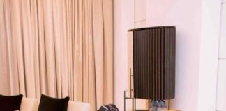 Tinubu meets Tony Elumelu