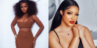 Big Brother Naija: Netizens argue over the prettiest female contestant in the competition