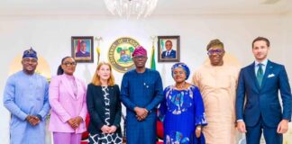 Sanwo-Olu discusses clean energy projects with Swedish envoy, Japanese Ambassador
