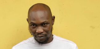 Court grants bail to controversial musician, Seun Kuti following police assault