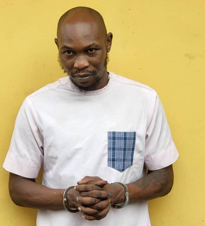Breaking: Seun Kuti released from police custody on bail