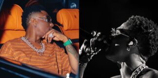 Wizkid: Here is why Star boy is Afrobeat’s flagbearer Wizkid