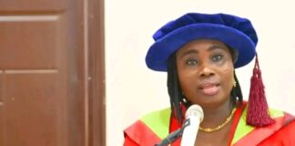 Seyi Makinde appoints UI professor as SSG Adeyemo