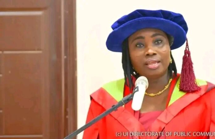 Seyi Makinde appoints UI professor as SSG