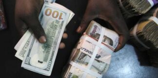 Nigerian Govt mulls incorporating Fintechs into Forex market as Naira plunges