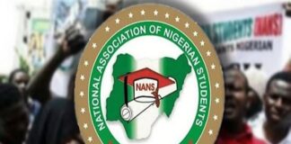 NANS calls for reduction in tertiary school fees to alleviate student hardships NANS