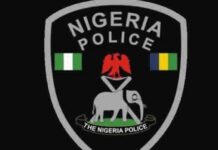 Police apprehend 21-year-old suspected cultist in Ondo