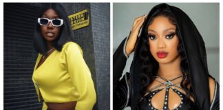‘Farmcity is your hustling spot’- Christy O calls out BBNaija Allstar contestant, Tolanibaj Tolanibaj x Ilebaye