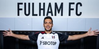 Fulham sign Mexico striker Raul Jimenez from Wolves for £5m