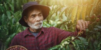 10 Powerful Foods That Can Help You Lose Weight