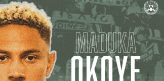Udinese announce capture of Nigeria goalkeeper Maduka Okoye
