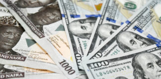 BDC operators appeal to CBN for more liquidity amidst forex freefall