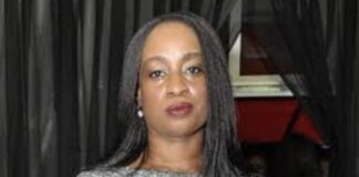 Tinubu appoints new NELMCO MD, ED