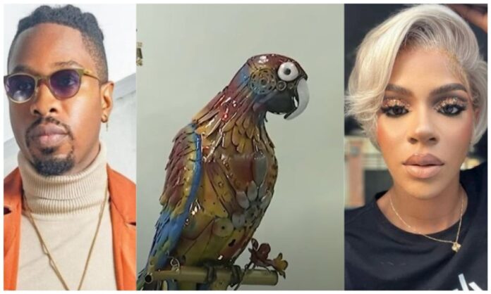 BBNaija Allstars: Parrot exposes Ike, recounts discussion about pimping Venita (VIDEO)