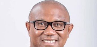 ‘D’Tigress, Super Falcons proved Nigerian youths are talented’- Peter ObiÂ