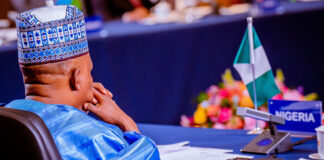 Nigeria not pursuing BRICS membership yet, VP Shettima clarifies Shettima says Nigeria would consult widely before joining BRICS. Twitter@officialSKSM/status