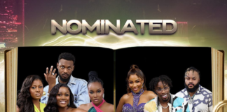 BBNaija Allstars: Here are the housemates nominated for possible
