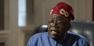 Tinubu vows to revamp Nigeria’s livestock sector, reduce dairy imports President Bola Tinubu