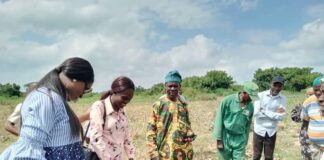 Kwara Govt partners NALDA on food security