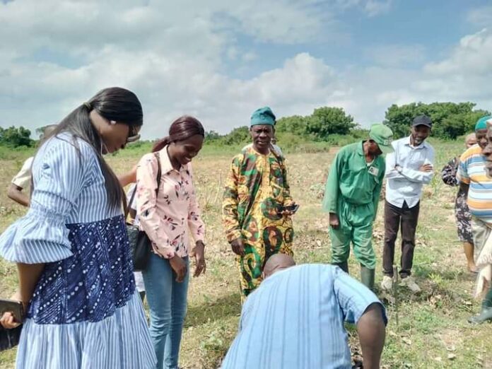 Kwara Govt partners NALDA on food security Kwara Govt partners NALDA on food security