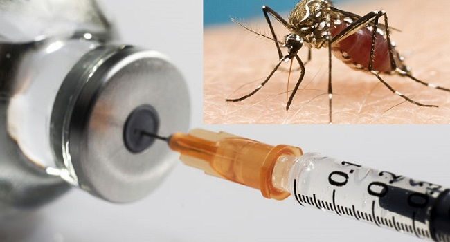 malaria vaccine