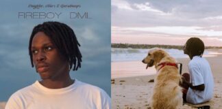 Laughter, Tears & Goosebumps: A review of Fireboy’s debut studio album